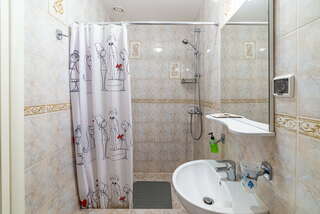 Мини-отель Рада Санкт-Петербург Двухместный номер-5