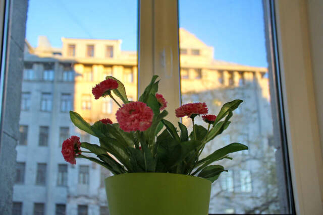 Мини-отель Рада Санкт-Петербург-24